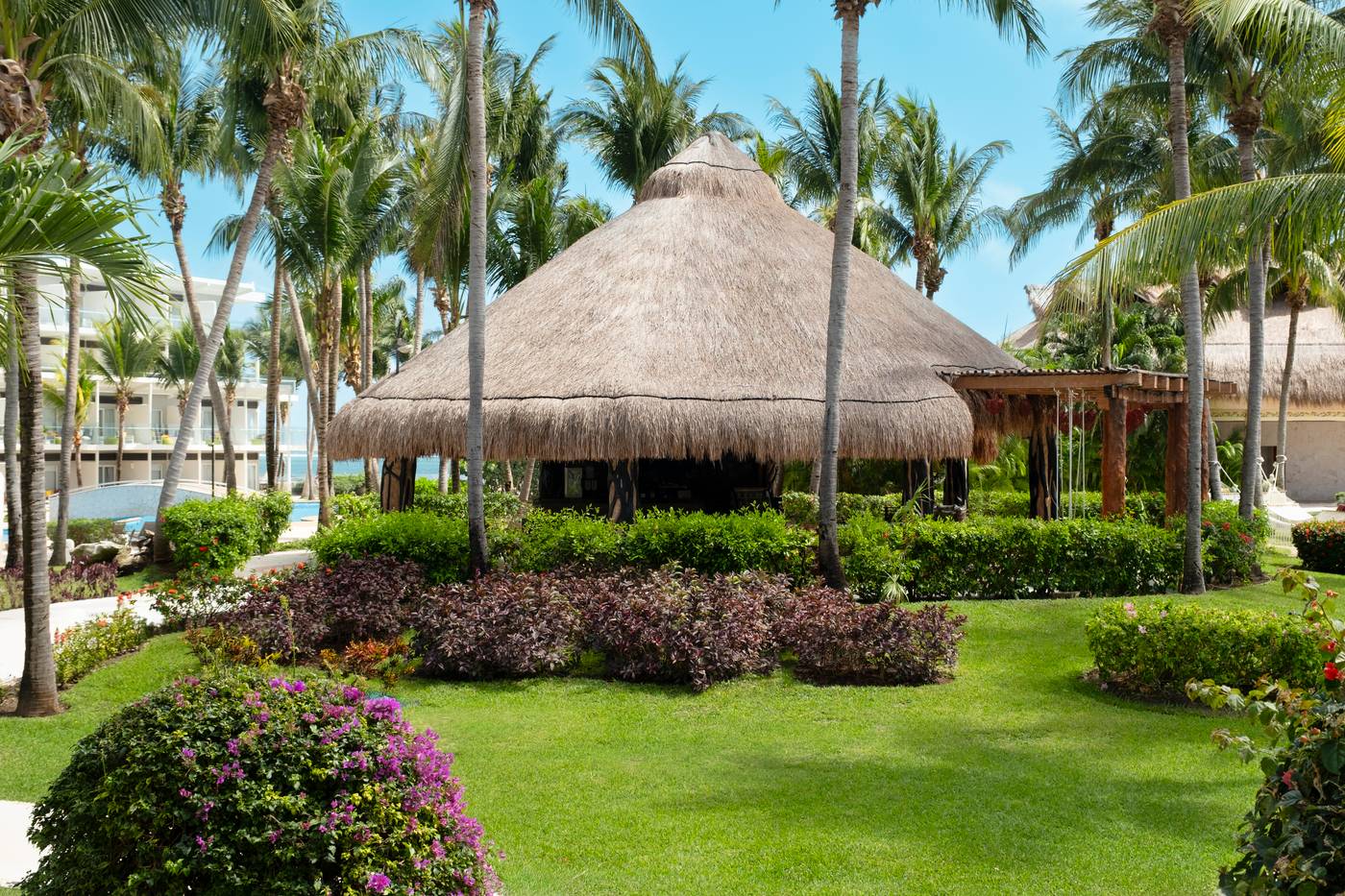 30.01.26 Iberostar Slection Riviera Cancun