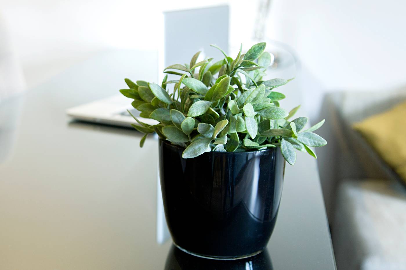 Quentin-Boutique-Hotel-Room-21