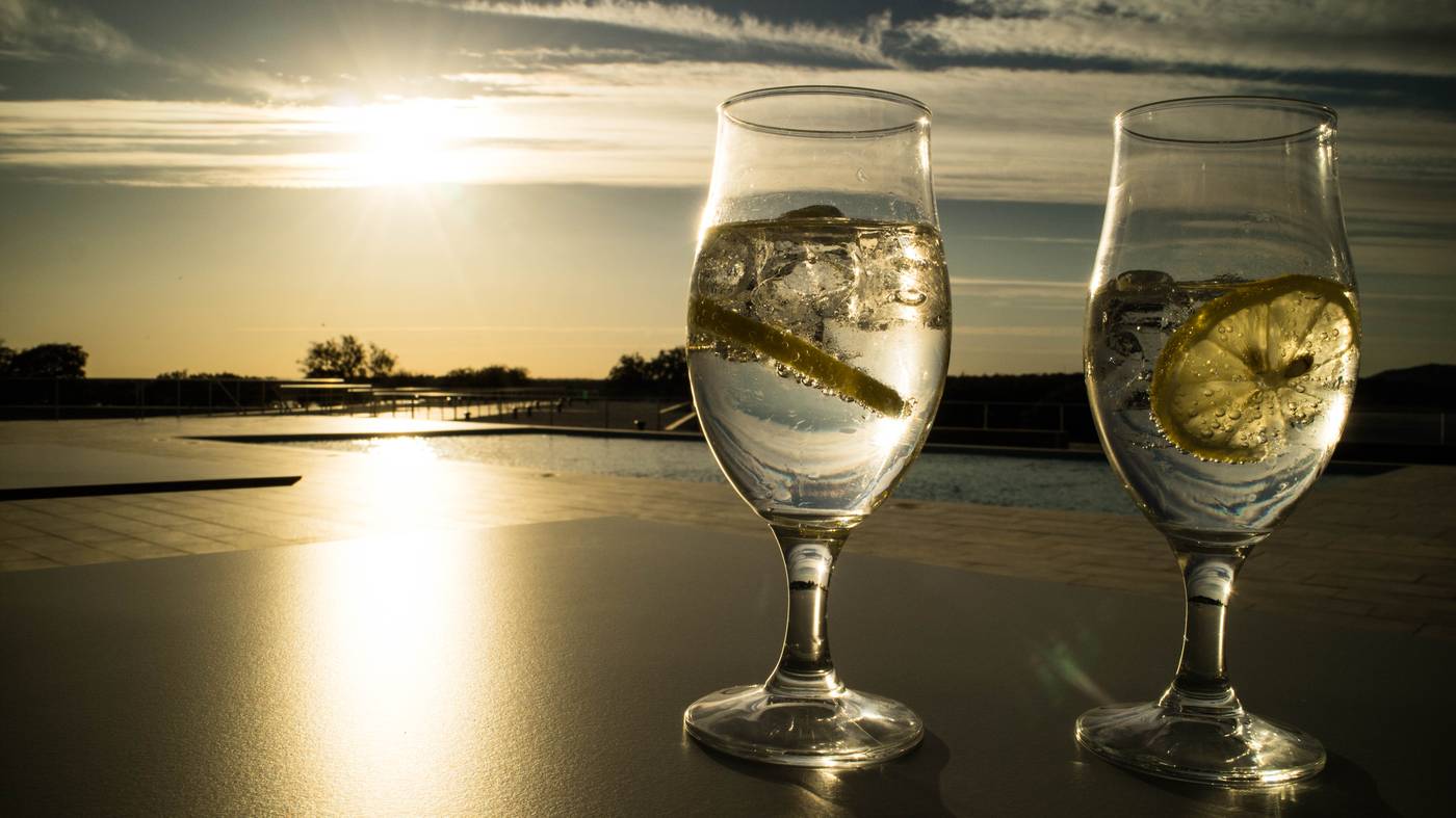 Herdade-dos-Delgados-Bar-17