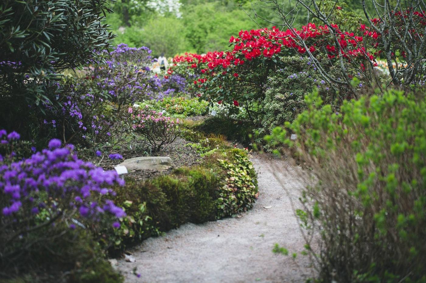 Hotel Riverton-Sweden-Gothenburg-General view-10