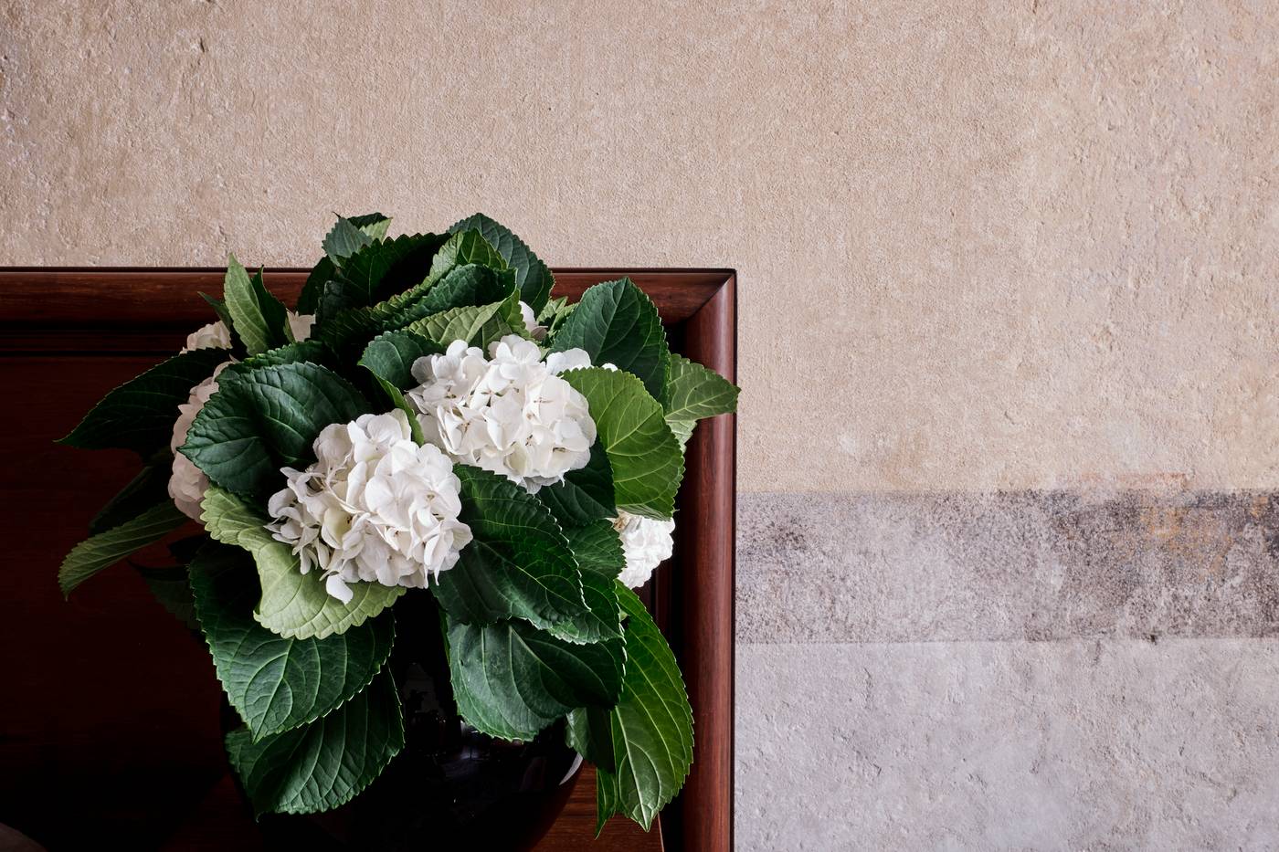 Hotel-Stary-General-view-6