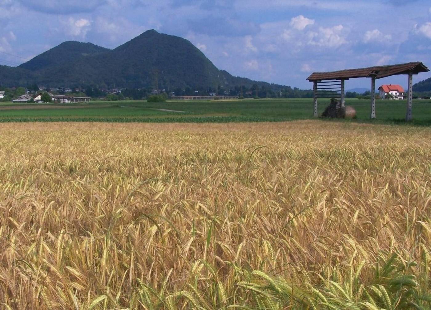 B&B Dvor Tacen-Slovenia-Ljubljana-General view-2