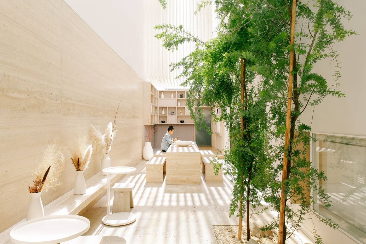 Ryo Kan-Mexico-Ciudad de México-General view-1