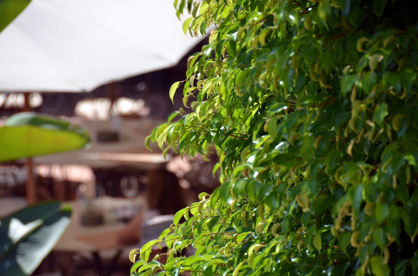 Swiss-Hotel-Moraira-Terrace-27