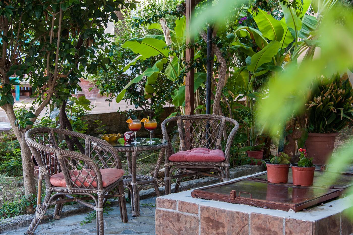 Zante-Nest-Terrace-18