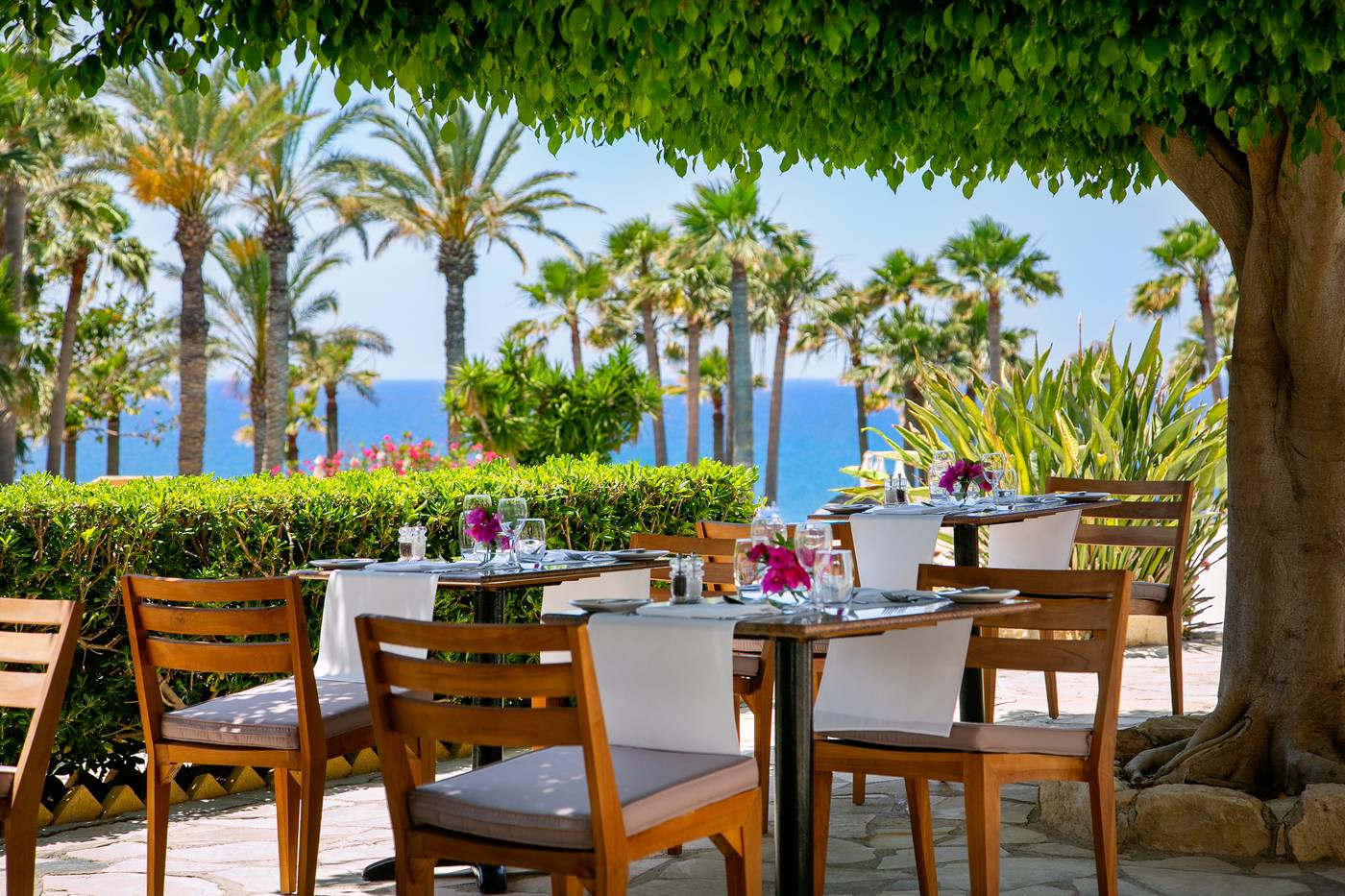 Azia Resort and Spa. Paphos, Cyprus. 294578