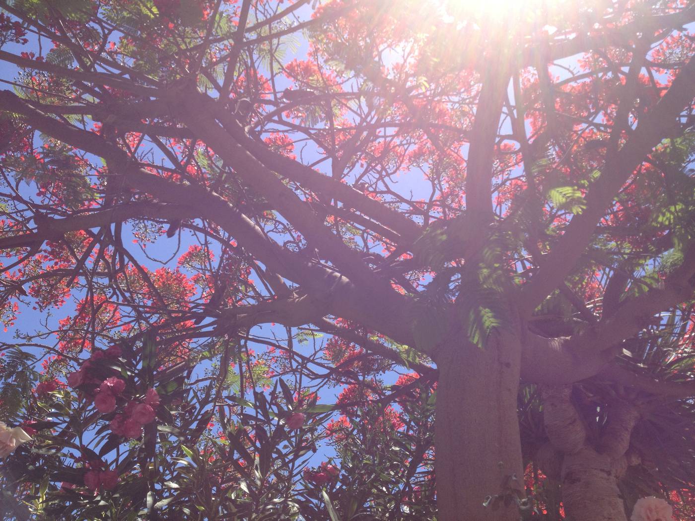 Villas-las-Almenas-Terrace-39