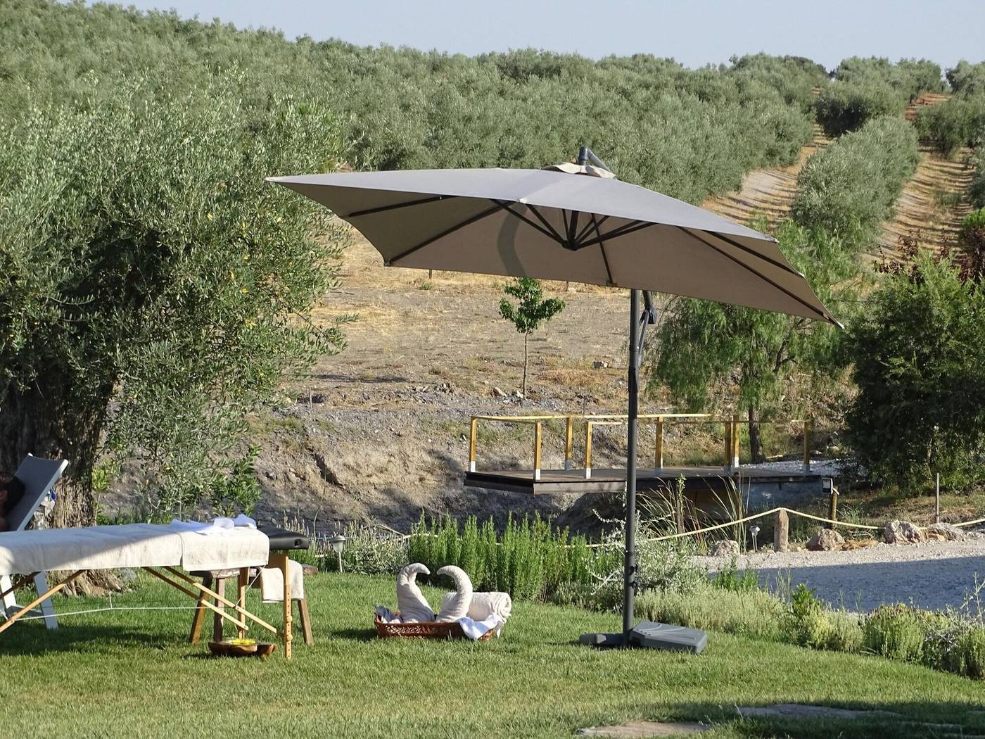 Monte da Estrela Country House & SPA-Portugal-MOURA-General view-2