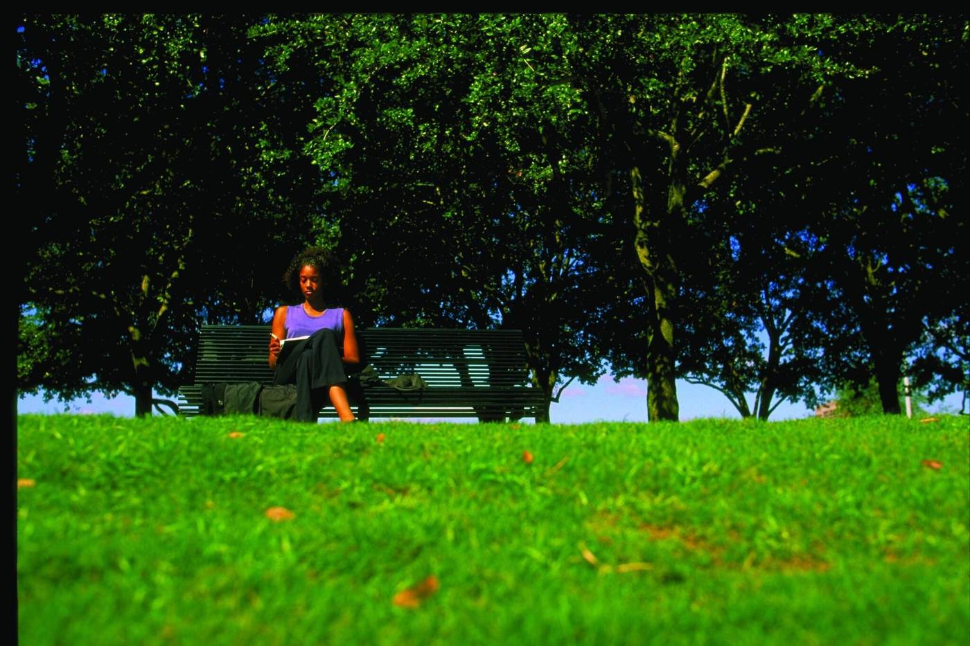 The Westin Oaks Houston at the Galleria-United States-HOUSTON-General view-4