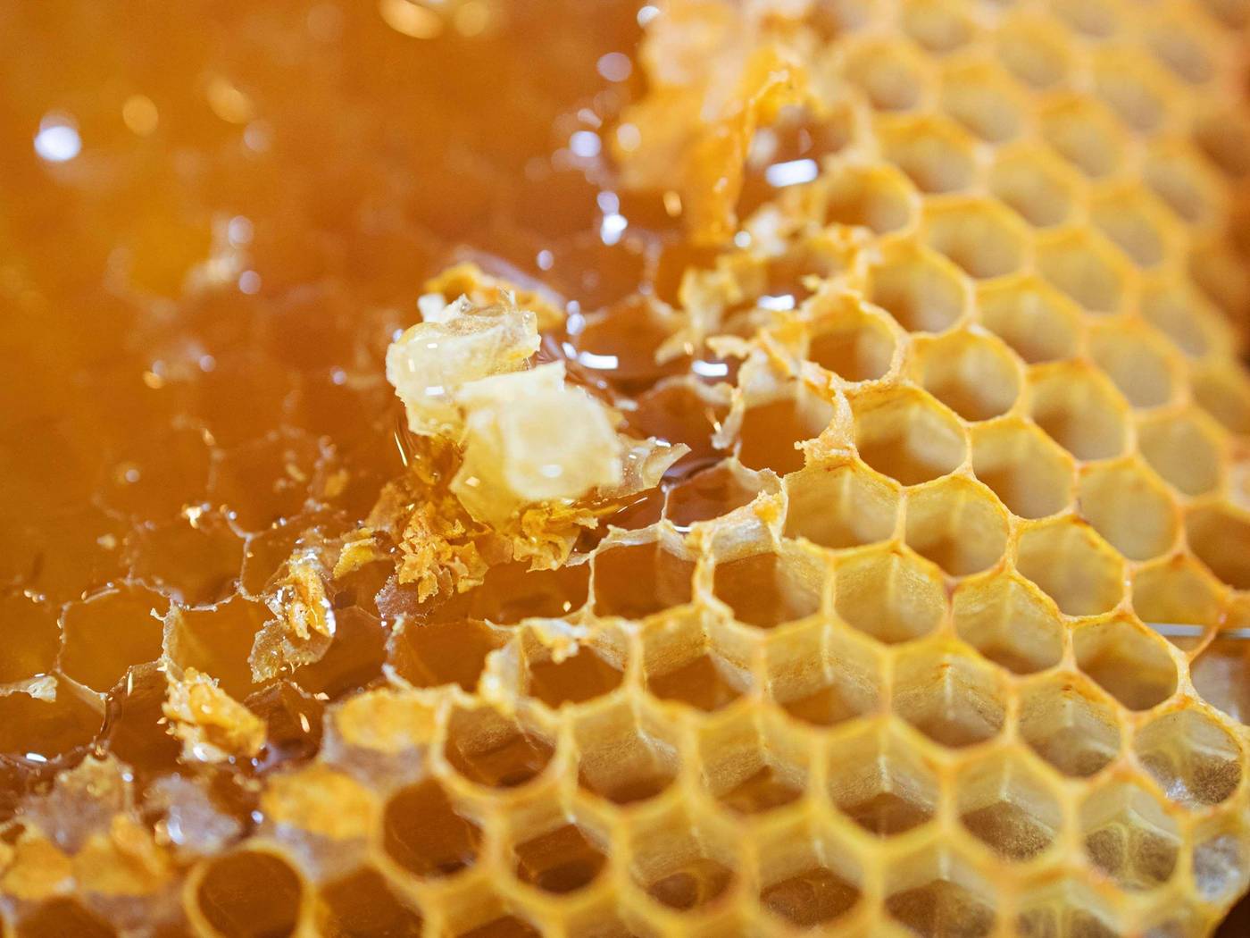 Novotel-Suites-Berlin-City-Potsdamer-Platz-Restaurant-58