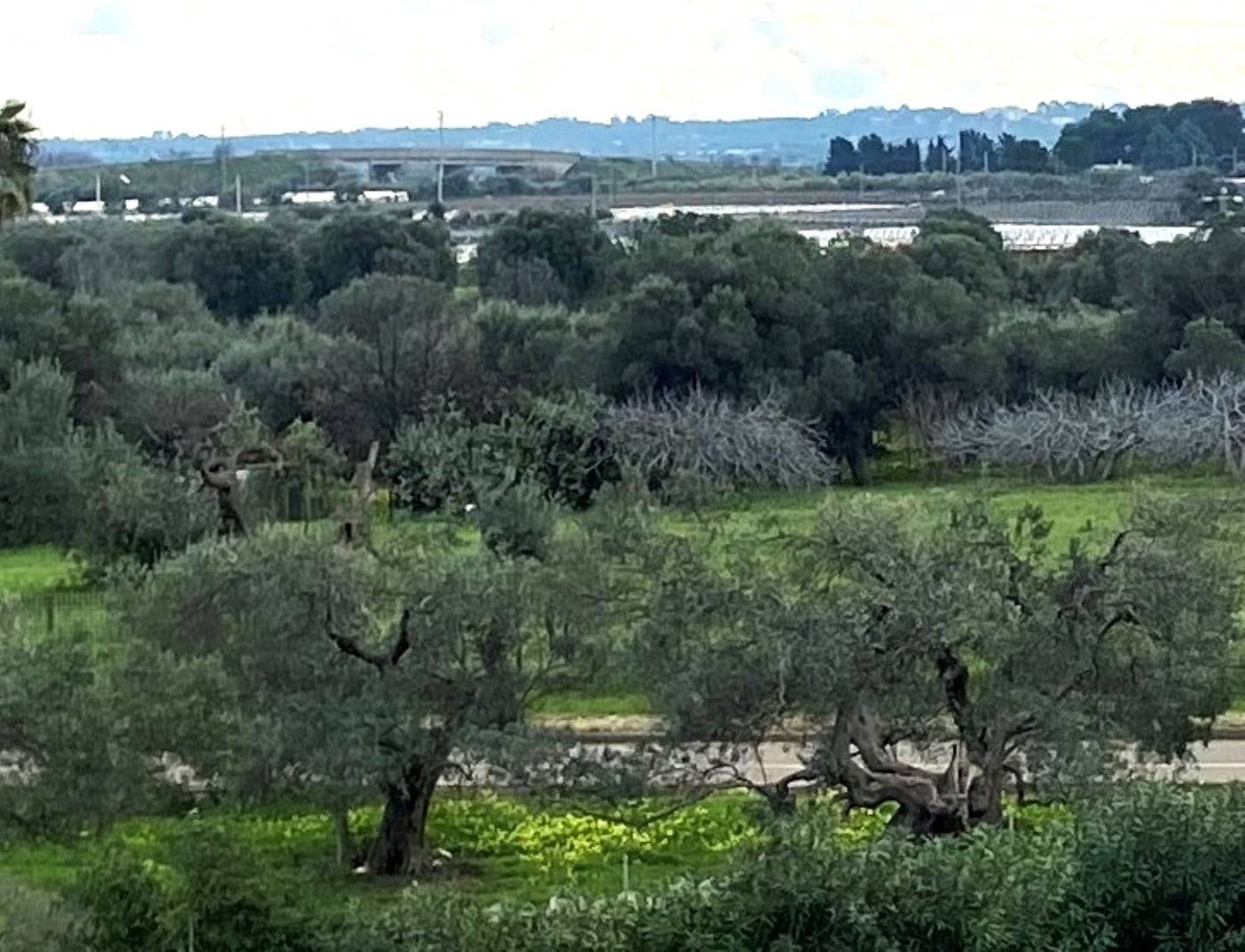 Barion Hotel And Congressi-Italy-BARI-General view-2