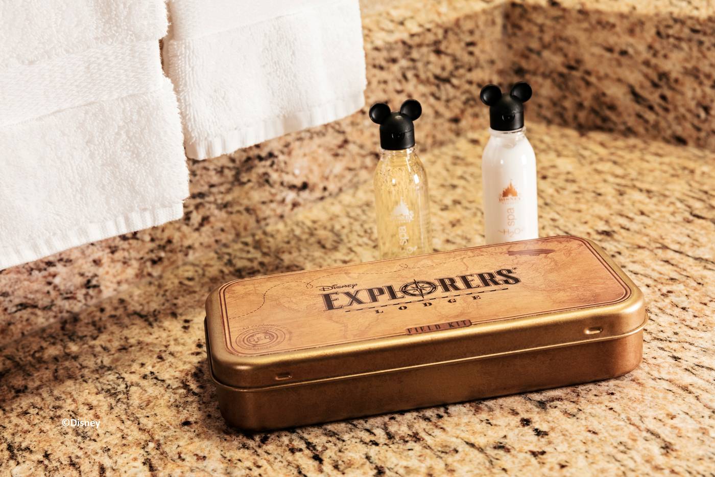 Disney-Explorers-Lodge-Room-13