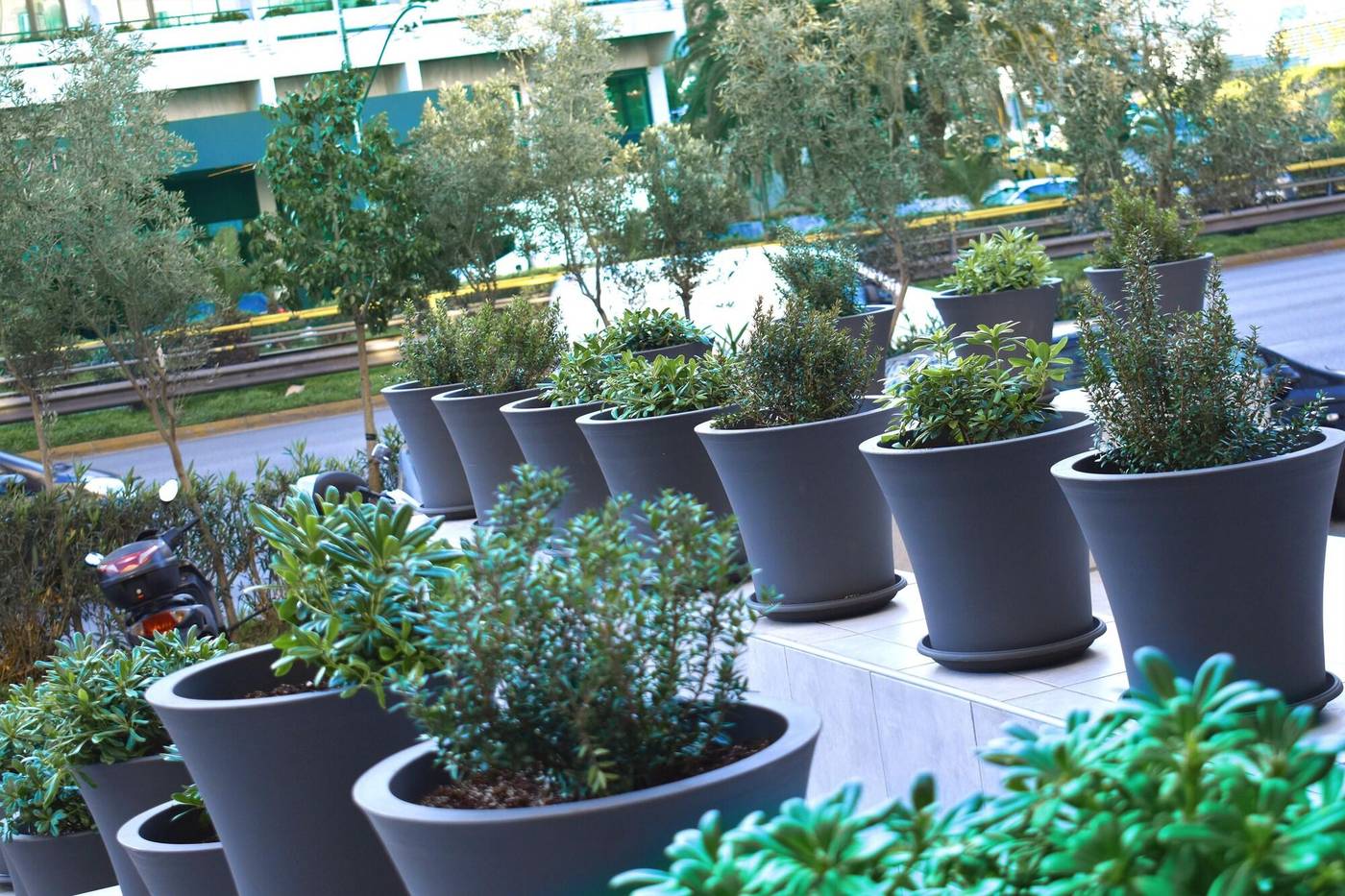 Athenian-Montaza-Hotel-Sports-and-Entertainment-12