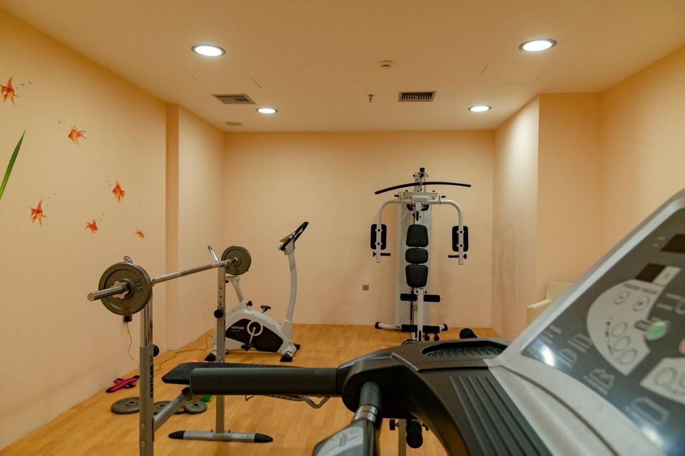 Odyssey-Sports-and-Entertainment-66