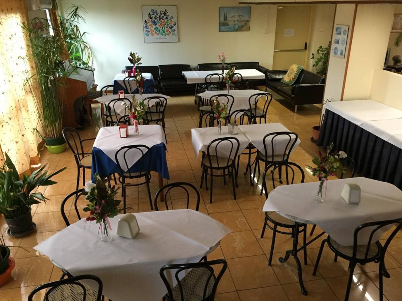 Albatros-General-view-9