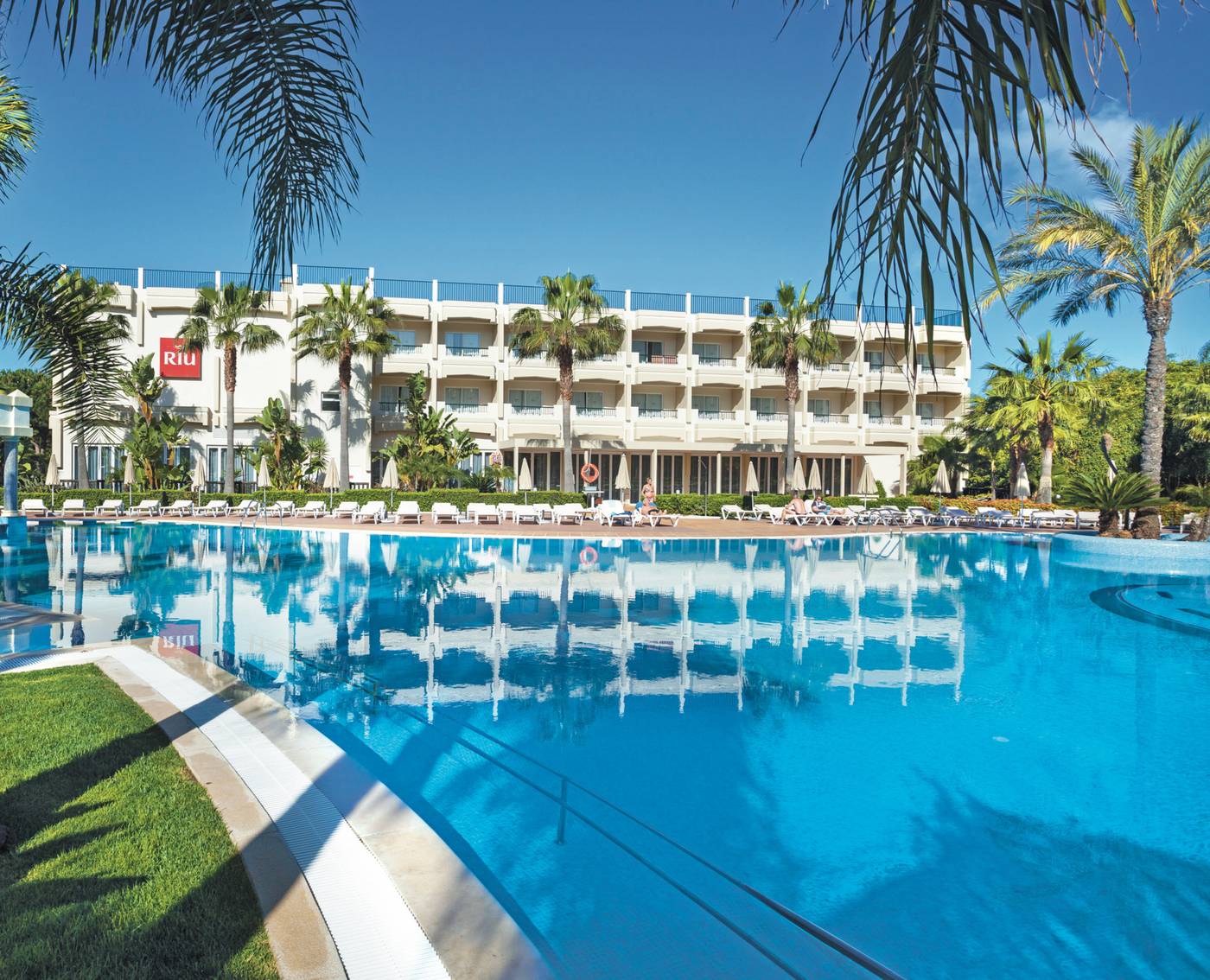 3HB-Guarana---Pool-5