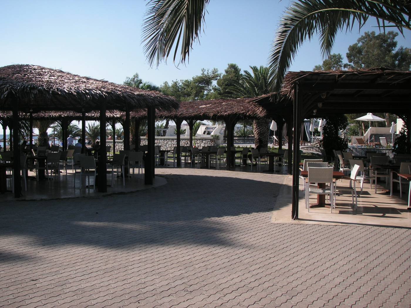 Sithonia---Porto-Carras-Grand-Resort-Bar-86