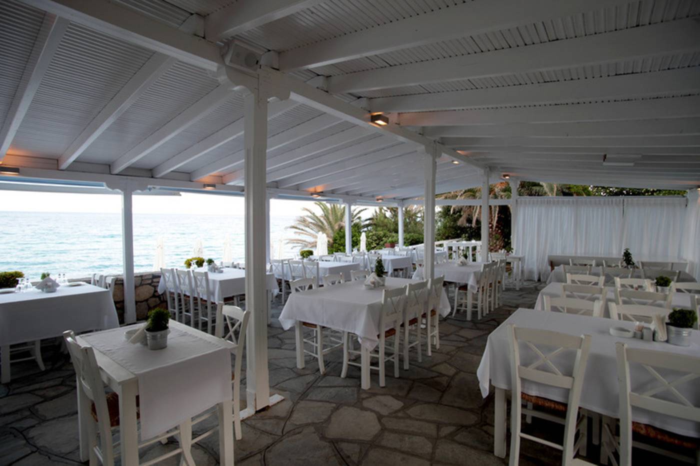 White Suites - Adult Only