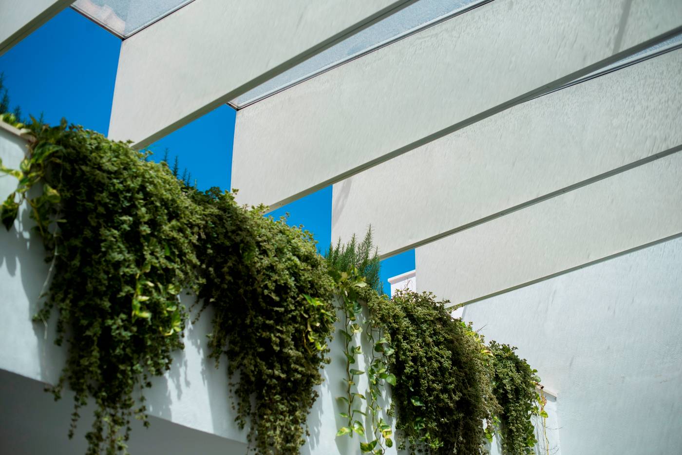 Soho Boutique Capuchinos & Spa-Spain-CORDOBA-Lobby-8