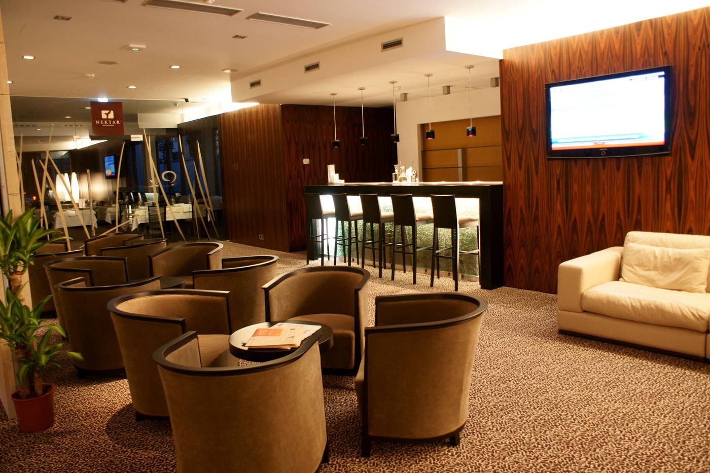 Hotel Avance-Slovakia-BRATISLAVA -Lobby-8