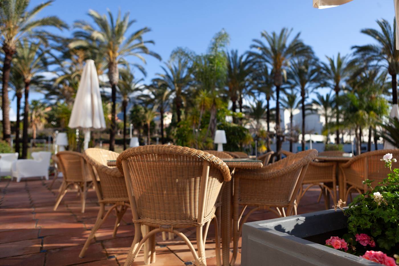 Alanda-Hotel-Marbella-Terrace-10
