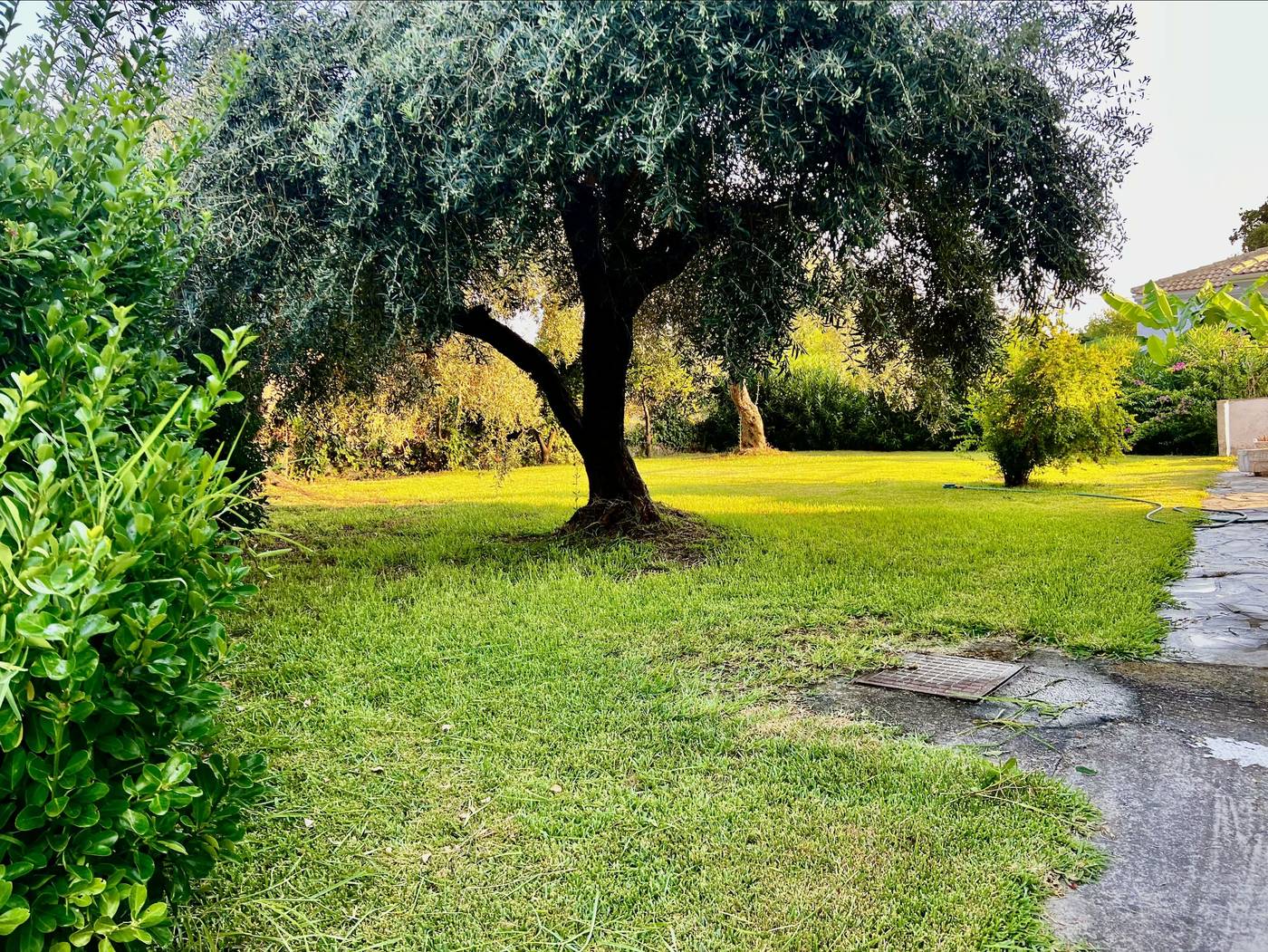 Bruskos-Hotel-and-Suites-Sports-and-Entertainment-54