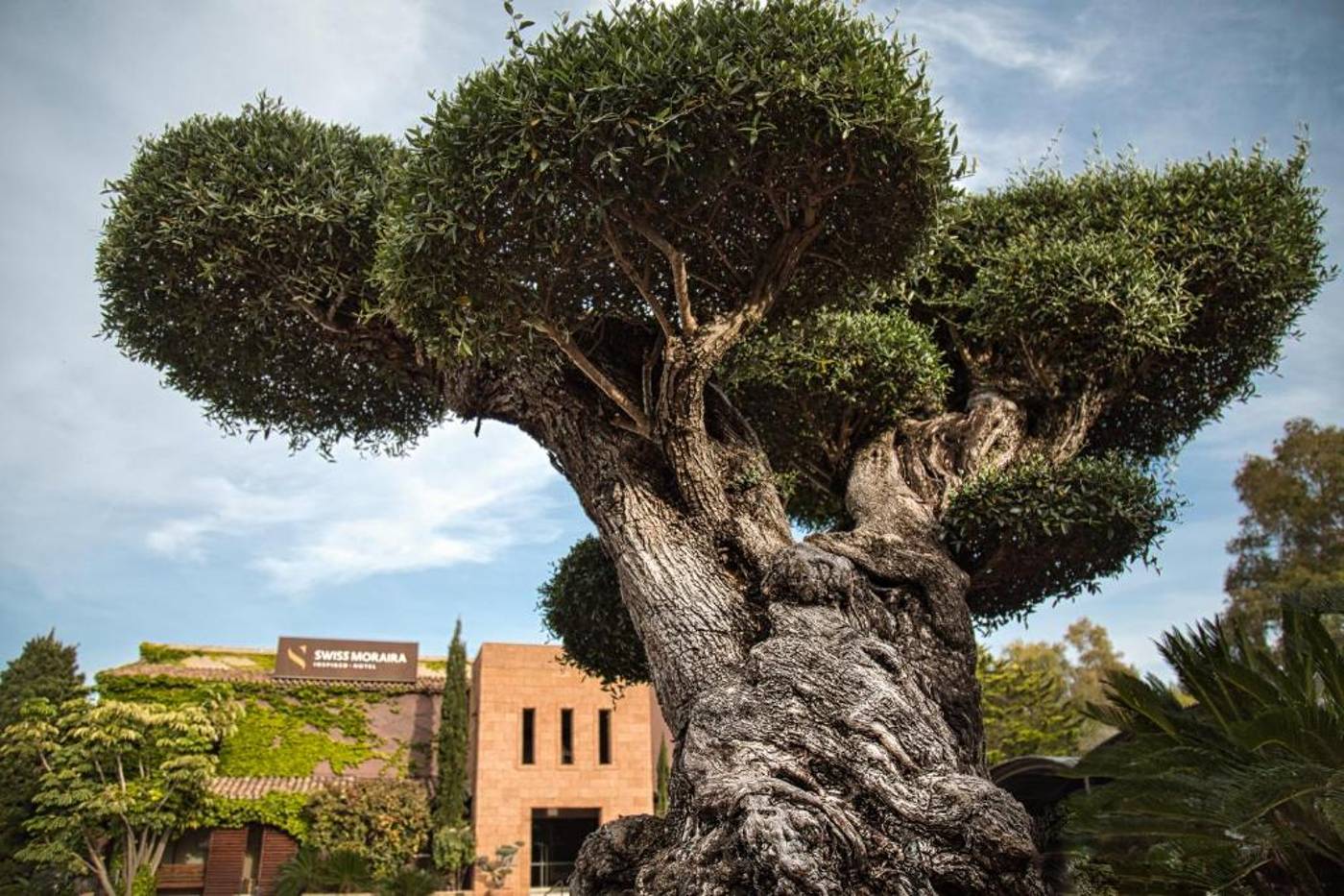 Swiss-Hotel-Moraira-General-view-16