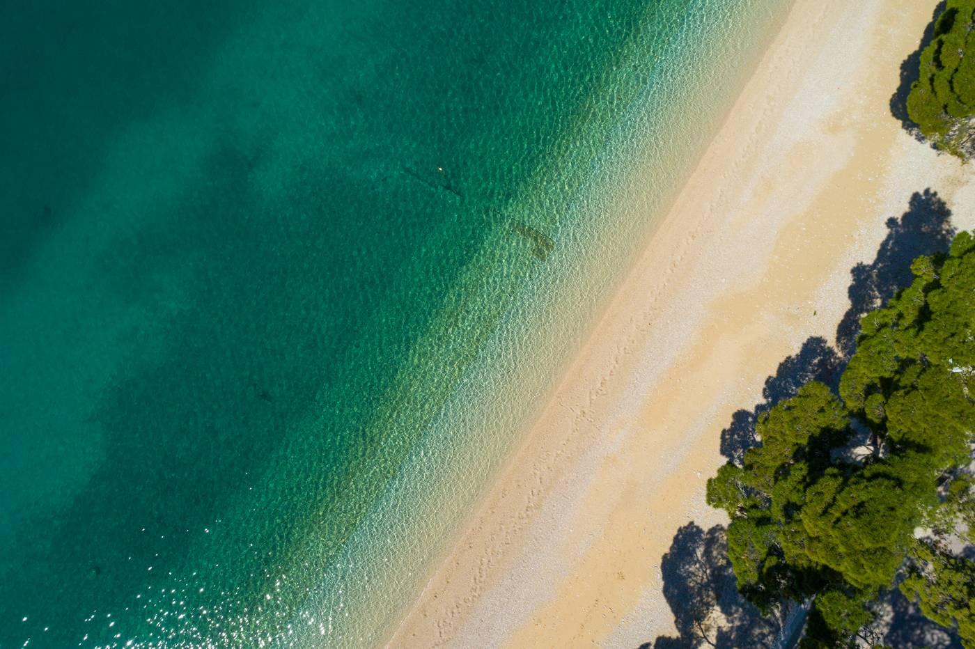 Valamar-Meteor-Hotel-Beach-63