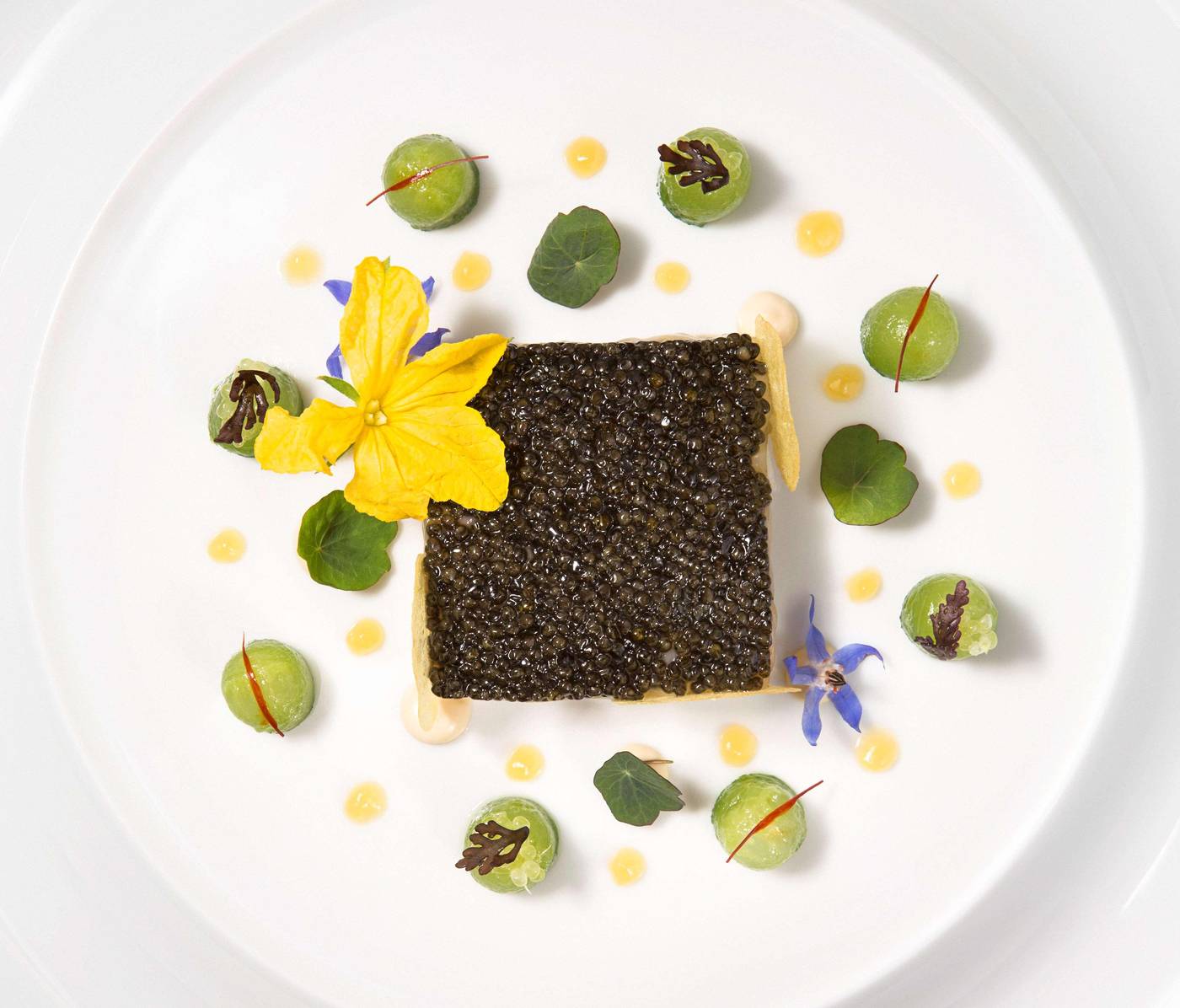 Waldorf-Astoria-Versailles---Trianon-Palace-Restaurant-61