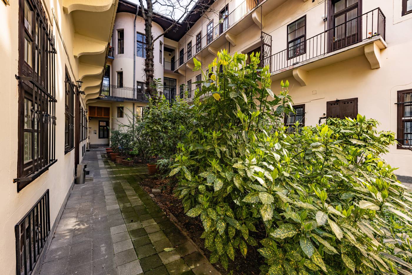 Amber-Gardenview-Studios-General-view-2