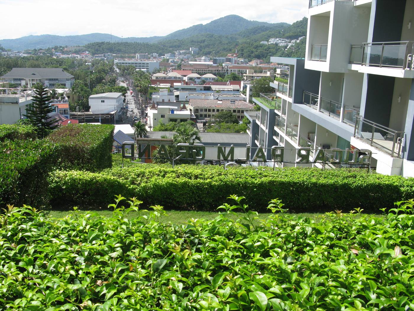 Sugar-Palm-Grand--Hillside-General-view-13