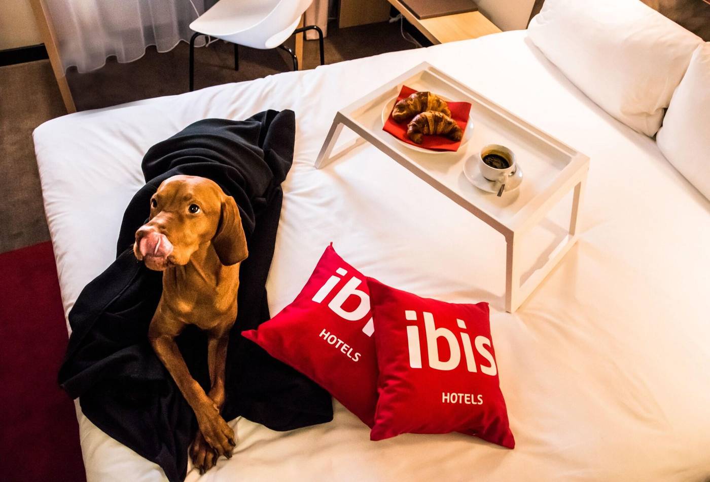 ibis Vilnius Centre-Lithuania-VILNIUS-General view-2