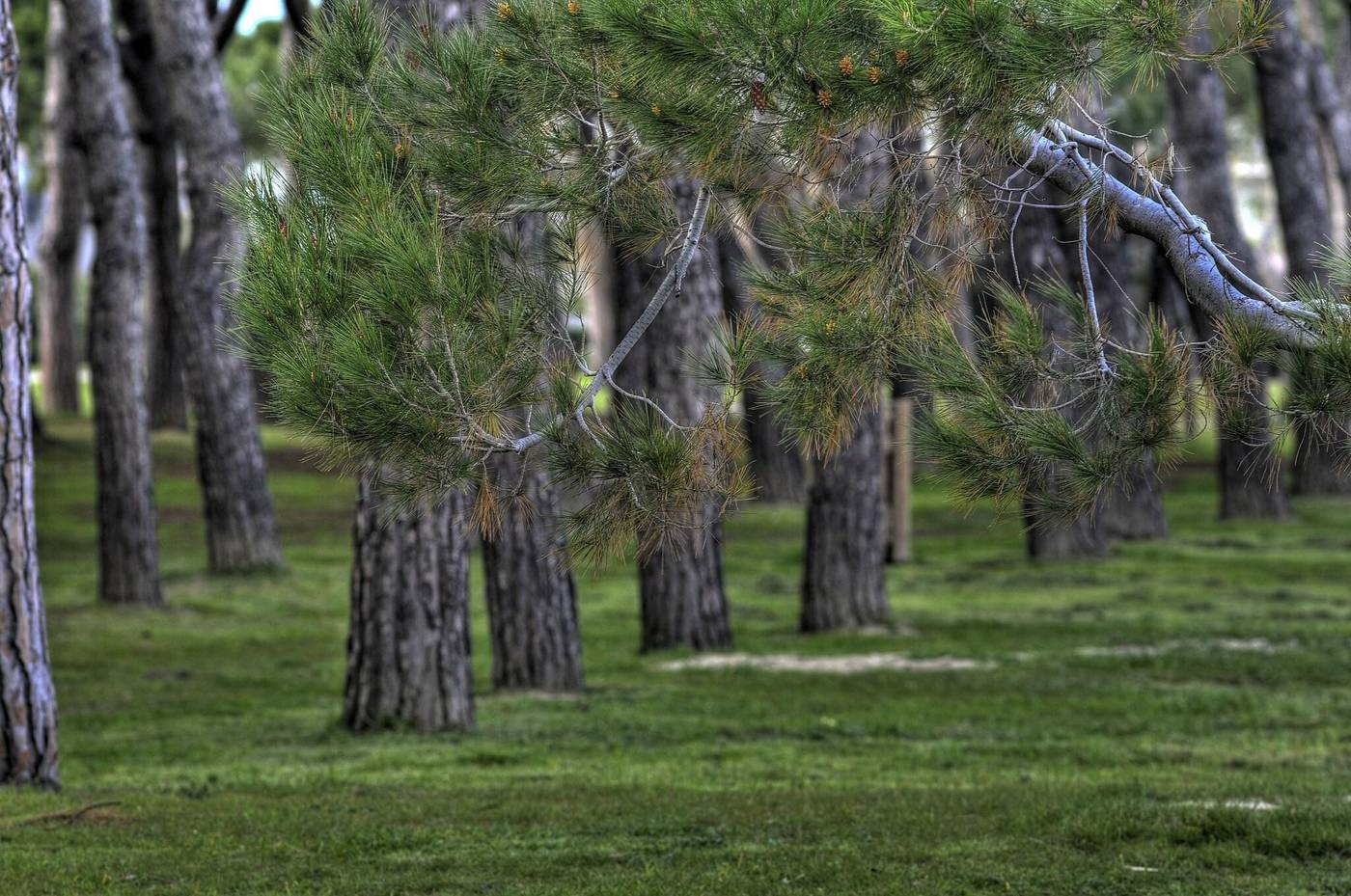 Hotel-Mare-Blu-General-view-20