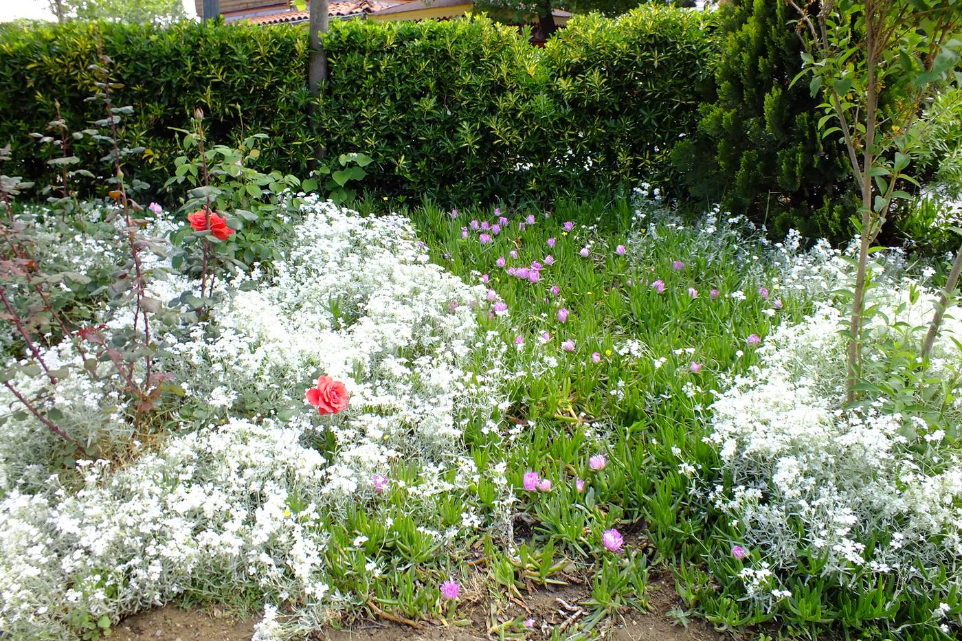 Turquhouse-Boutique-Hotel-General-view-18