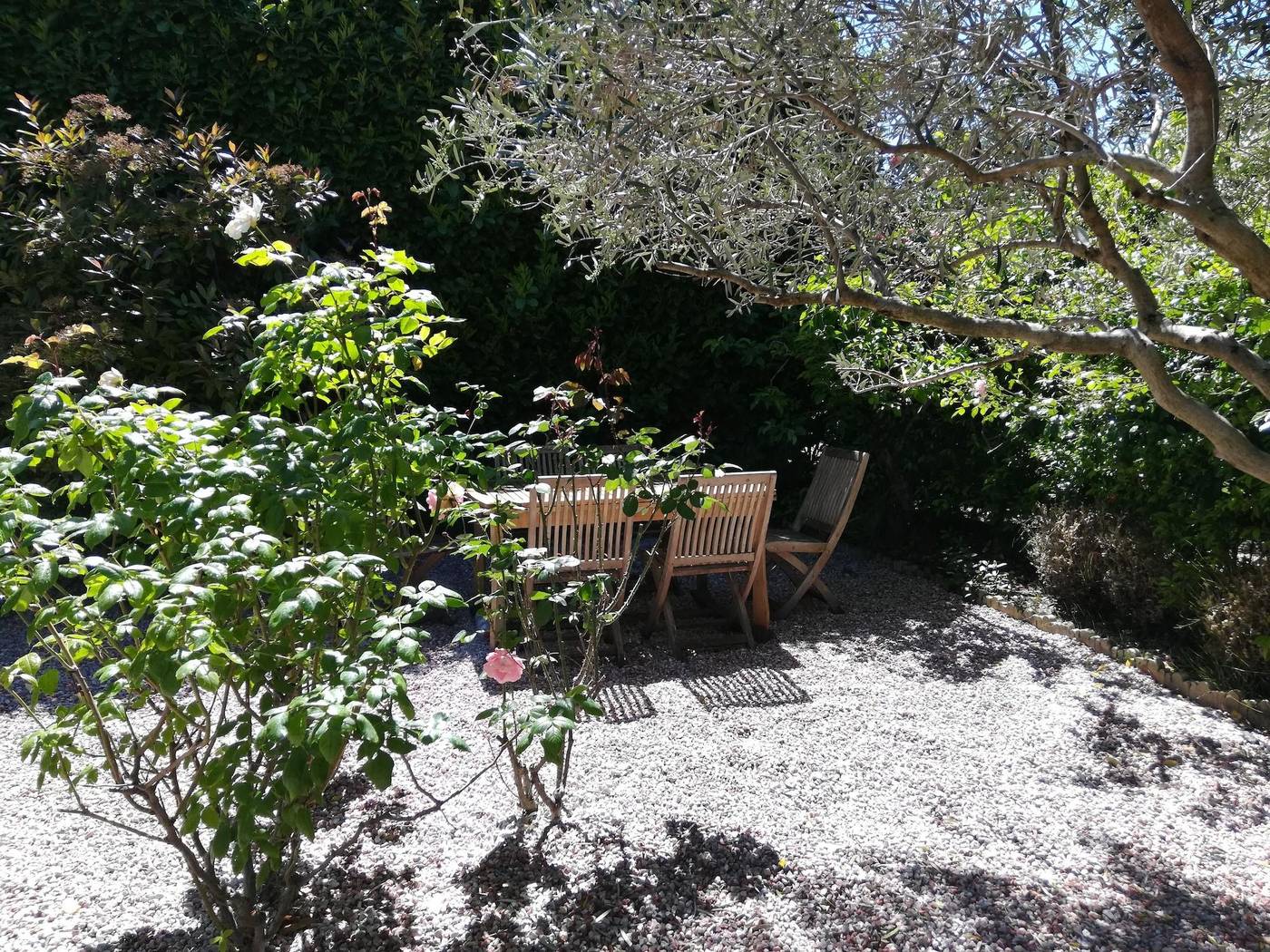 Villa Angel-France-CAUNES-MINERVOIS-General view-10