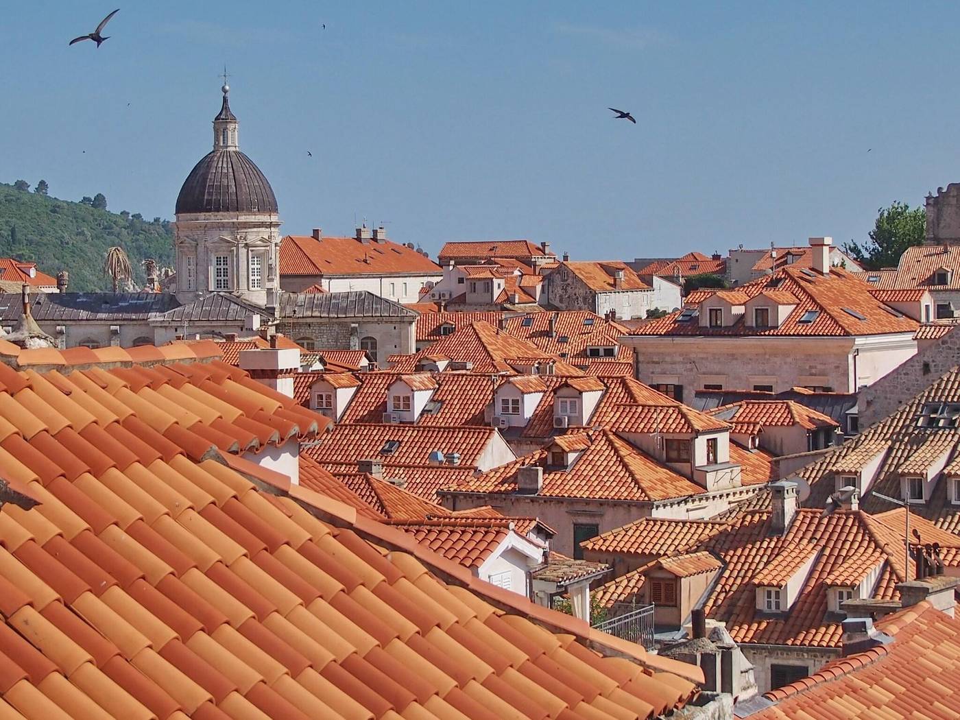 La-Vita-E-Bella-Ii-Room-63