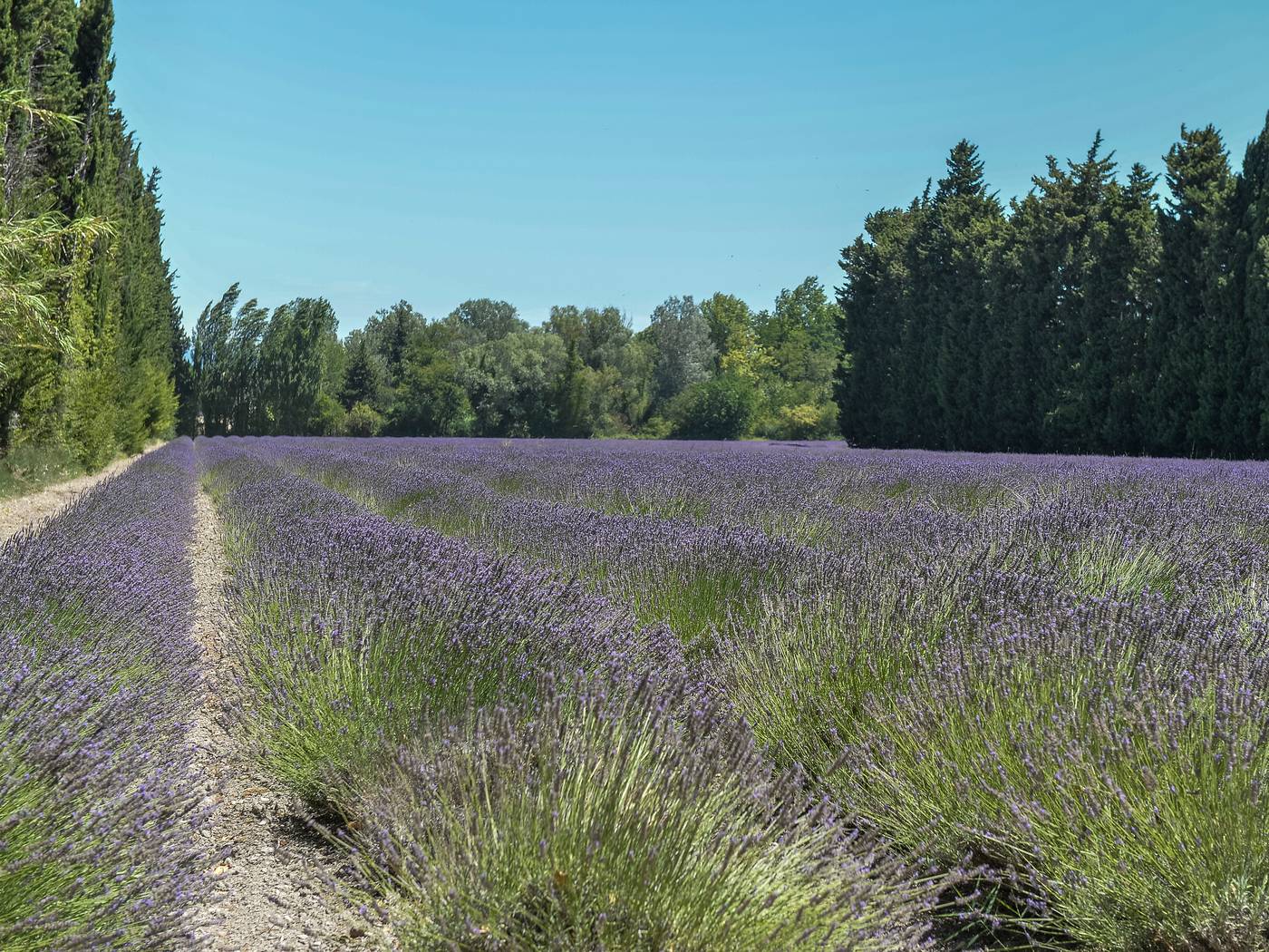 Residence Vacanceole Sun Hols Les rives du lac-France-ST SATURNIN LES AVIGNON-General view-6