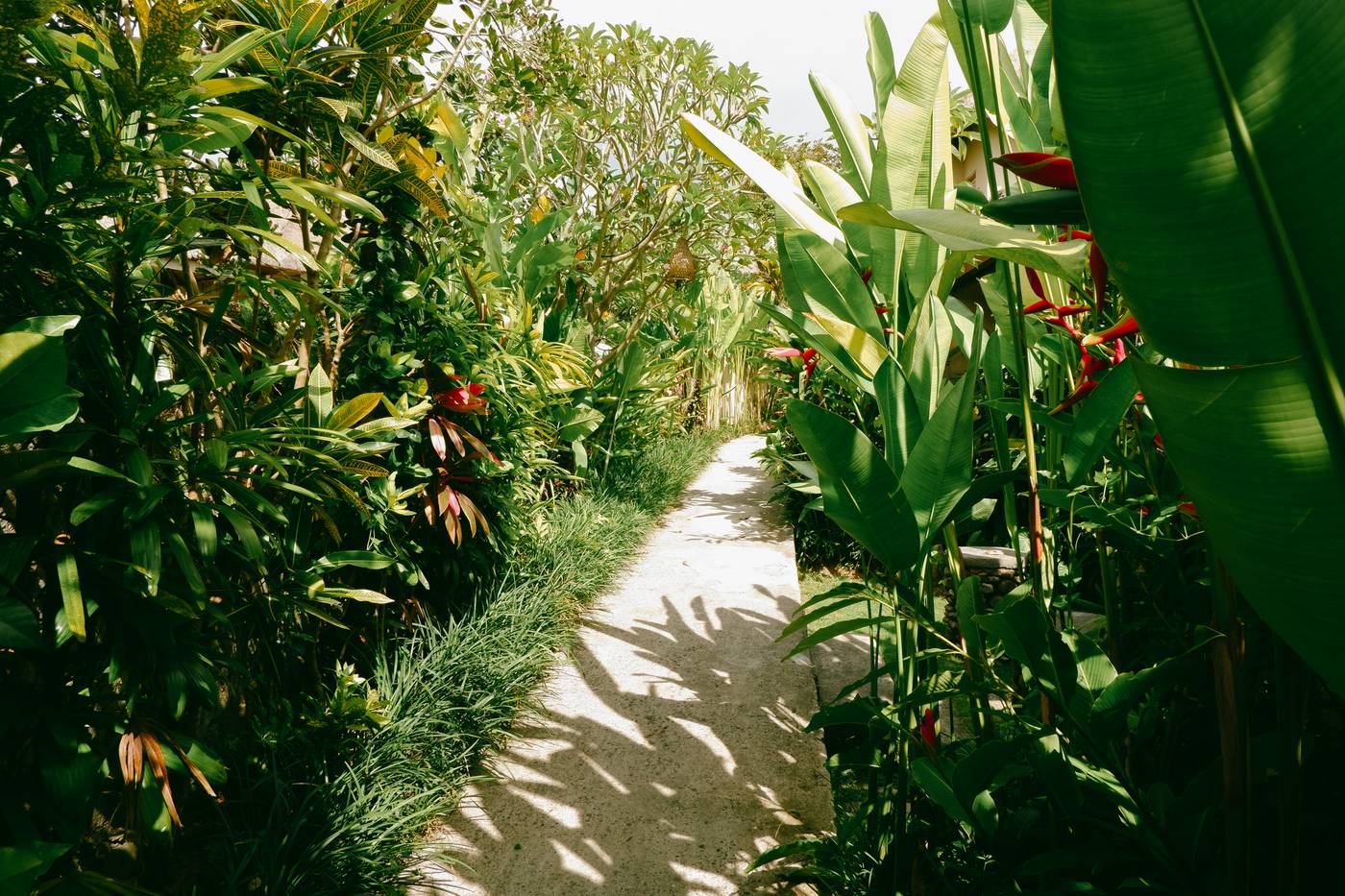 Atta Mesari Resort & Spa-Indonesia-Bali-General view-2