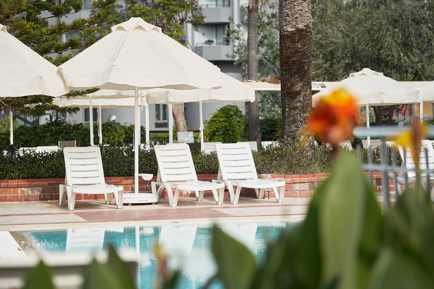 Seaden-Side-Corolla-Pool-21