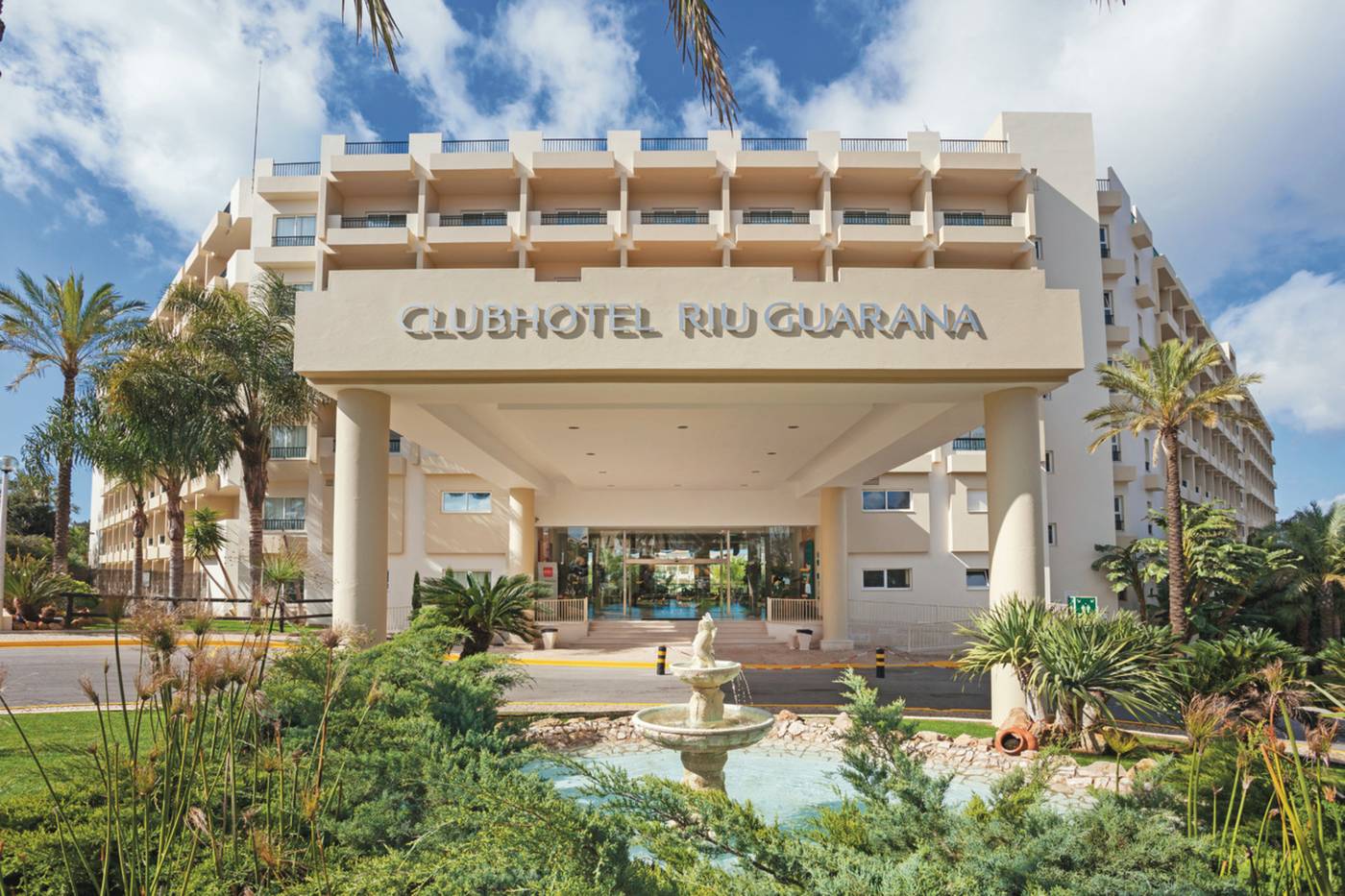 3HB-Guarana---General-view-12