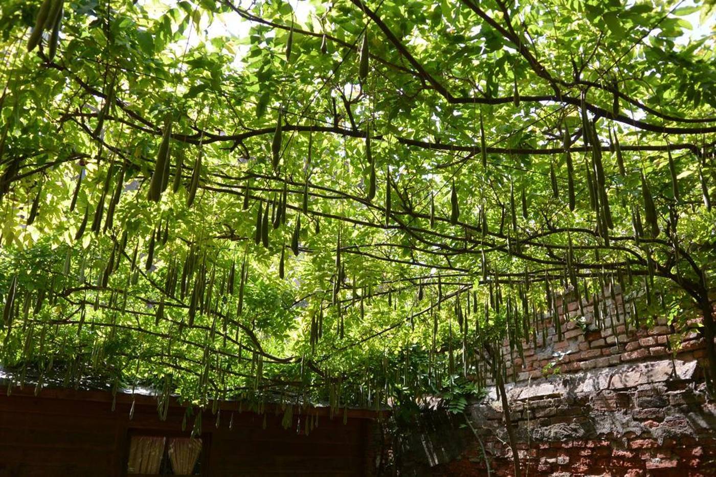 Falier-General-view-11