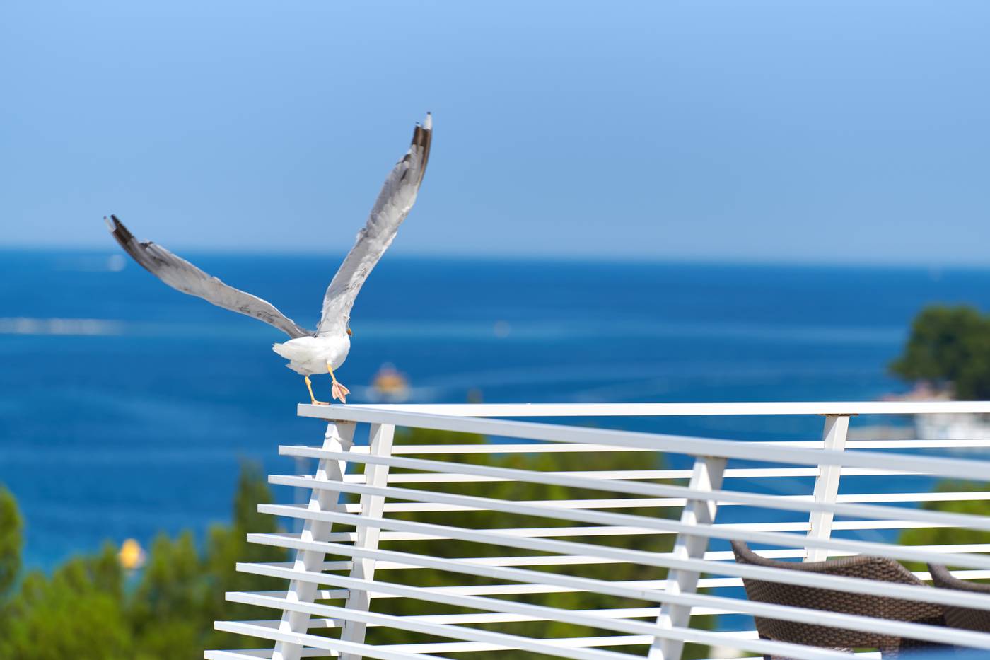 Hotel-Albatros-Plava-Laguna-General-view-51