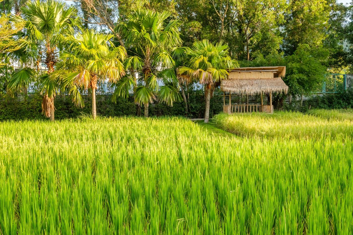 Naina Resort & Spa-Thailand-Phuket-General view-3