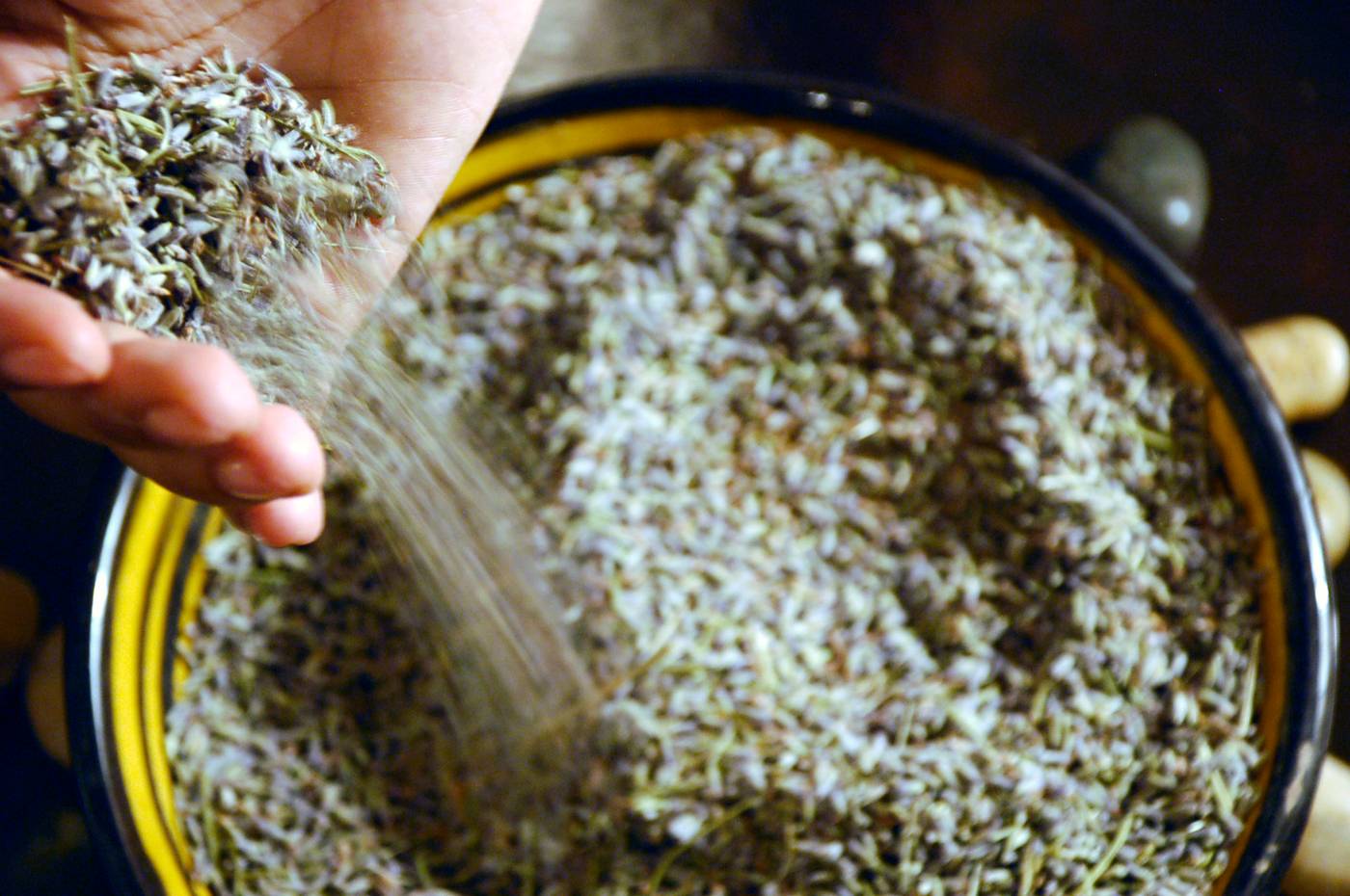 Palais-Jena-spa-General-view-22