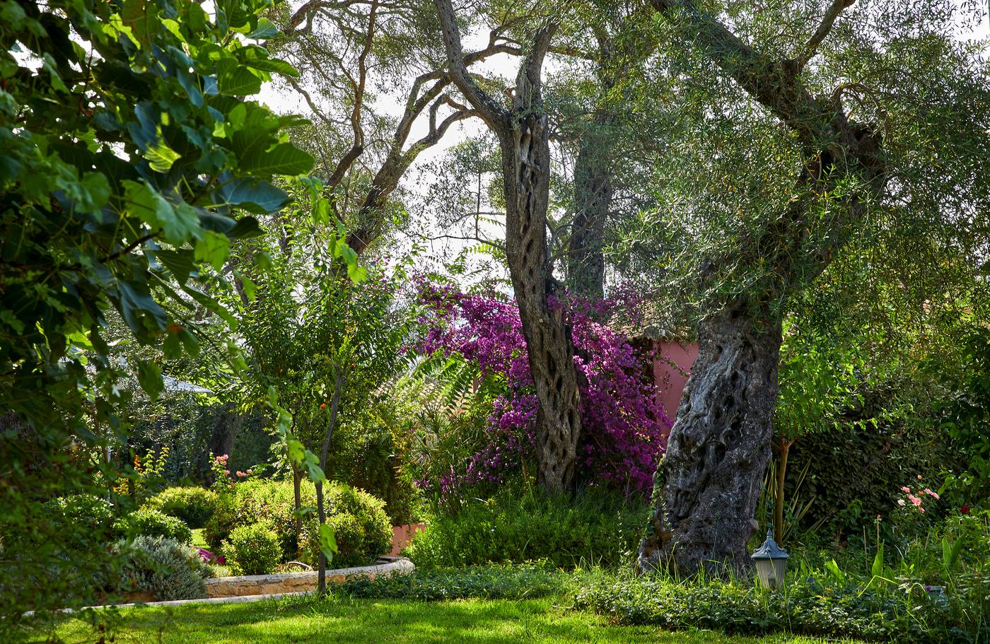 Parga-Beach-Terrace-19