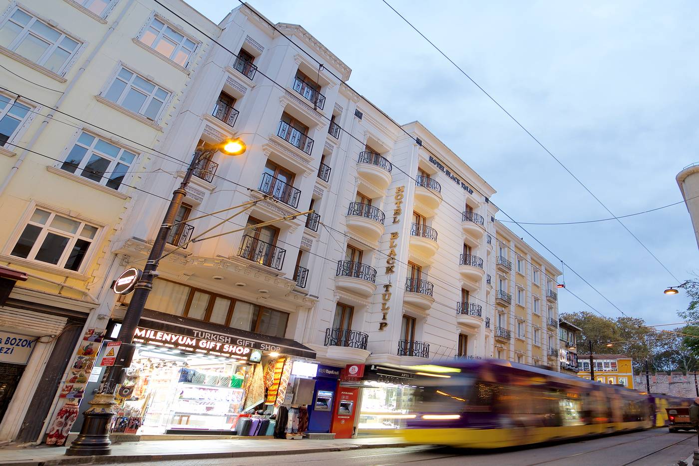 Hotel-Black-Tulip-General-view-11