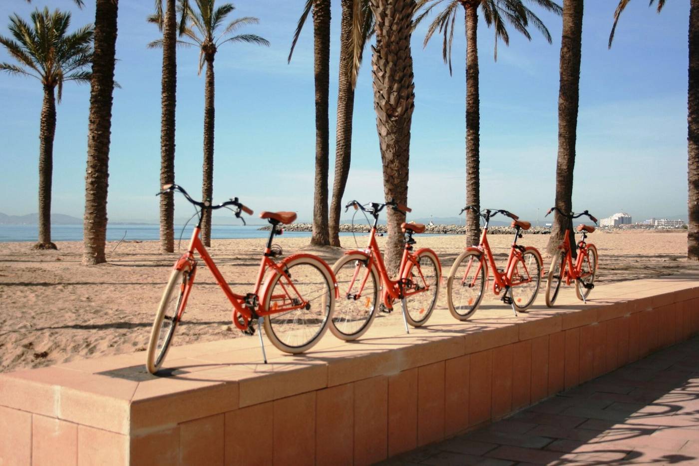 Montecarlo-Sports-and-Entertainment-49