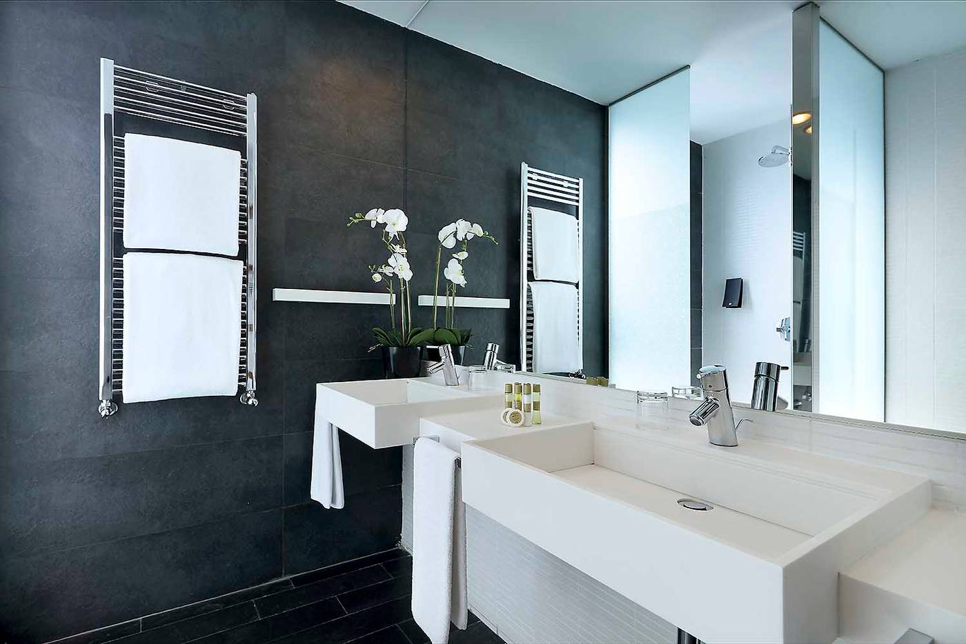 Rafaelhoteles-Madrid-Norte-Room-24