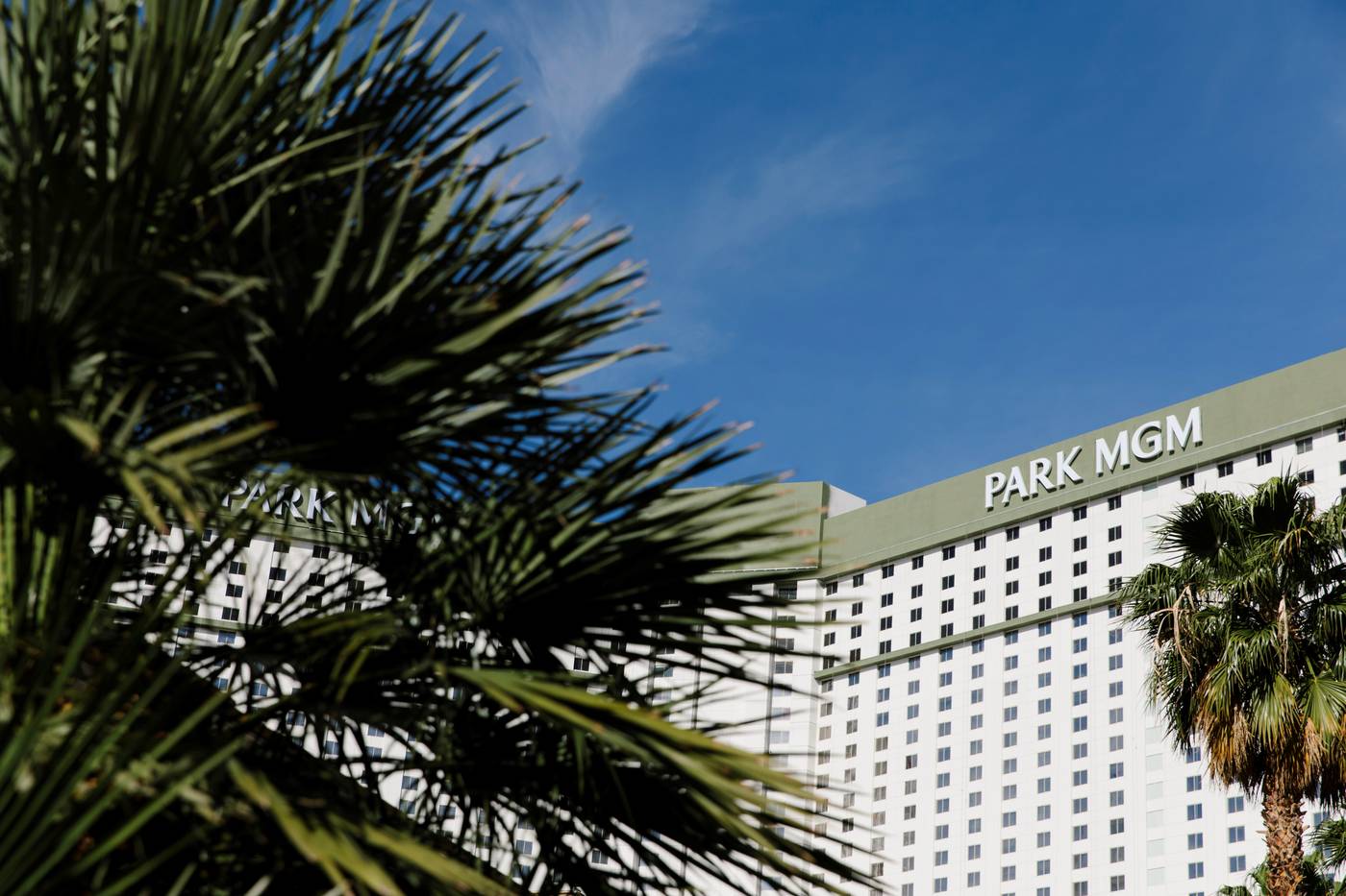 Park MGM Las Vegas-United States-LAS VEGAS-General view-3