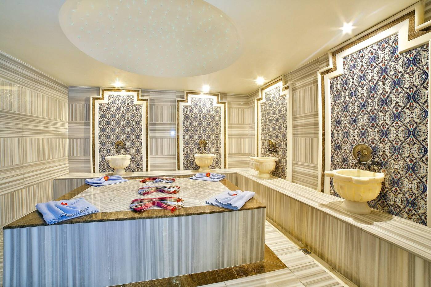 Lion-Sports-and-Entertainment-47